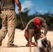 200th RED HORSE Helps Set the Theater in Guam