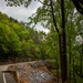 Storm damage from Hurricane Helene near Lake Tahoma