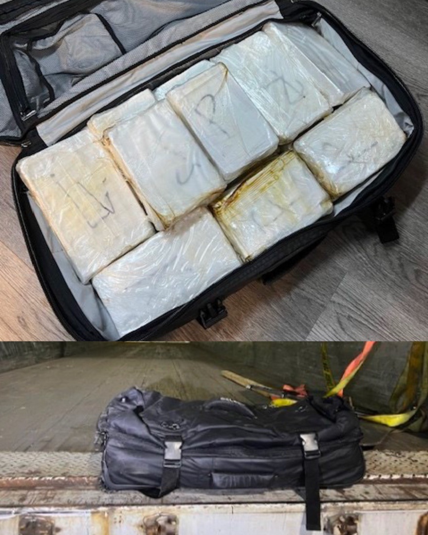 CBP drug seizures