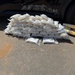 CBP drug seizures