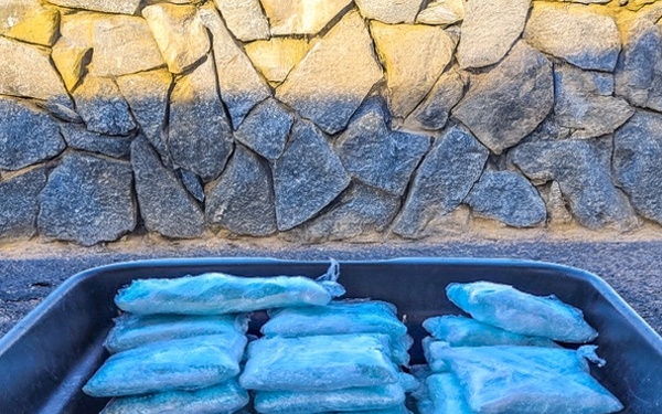 CBP drug seizures