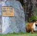 Rocky the Bulldog Stakes His Claim at 3rd Infantry Division