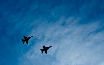 Purple Up Day at Holloman AFB
