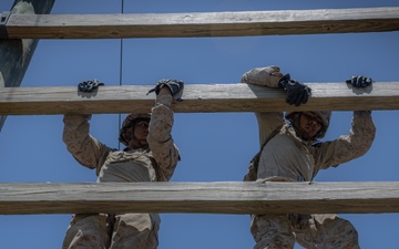 Delta Company Crucible