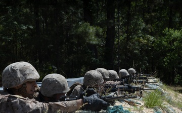 Delta Company Crucible