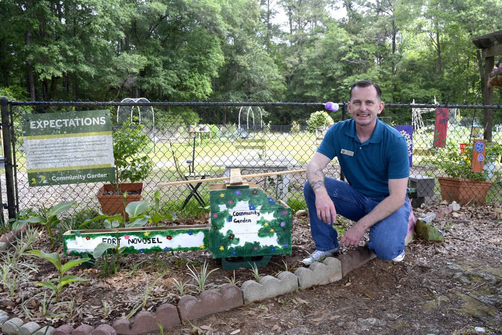 Novosel Garden Improvements