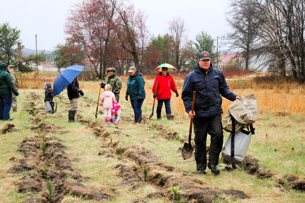 Fort McCoy continues annual tree replenishment efforts; earns 36th Tree City USA award in process