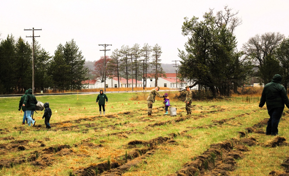 Fort McCoy continues annual tree replenishment efforts; earns 36th Tree City USA award in process