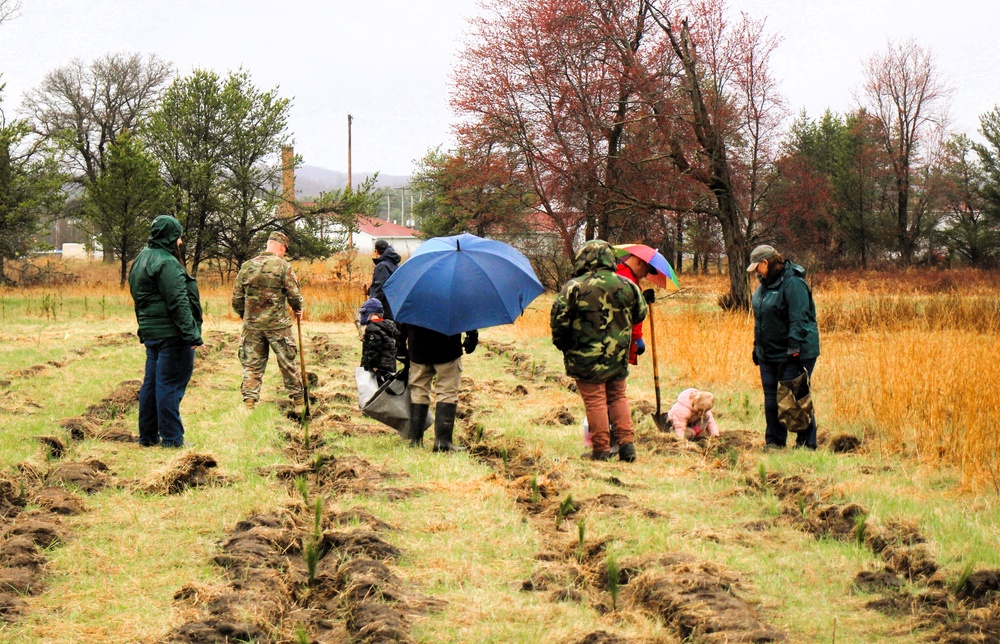 Fort McCoy continues annual tree replenishment efforts; earns 36th Tree City USA award in process