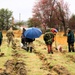 Fort McCoy continues annual tree replenishment efforts; earns 36th Tree City USA award in process