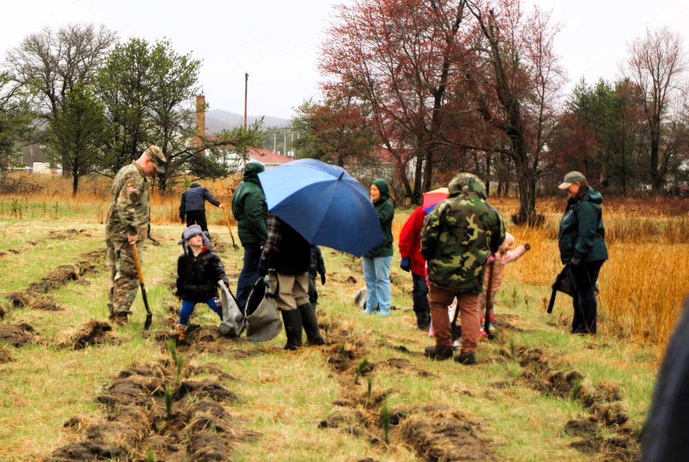 Fort McCoy continues annual tree replenishment efforts; earns 36th Tree City USA award in process