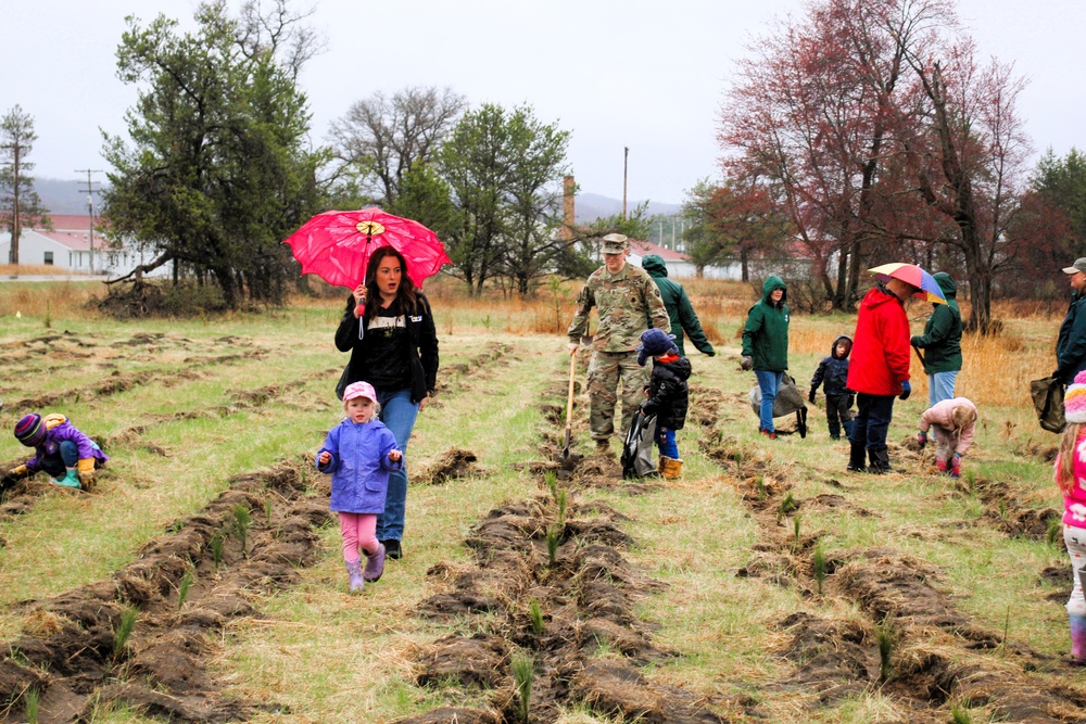 Fort McCoy continues annual tree replenishment efforts; earns 36th Tree City USA award in process