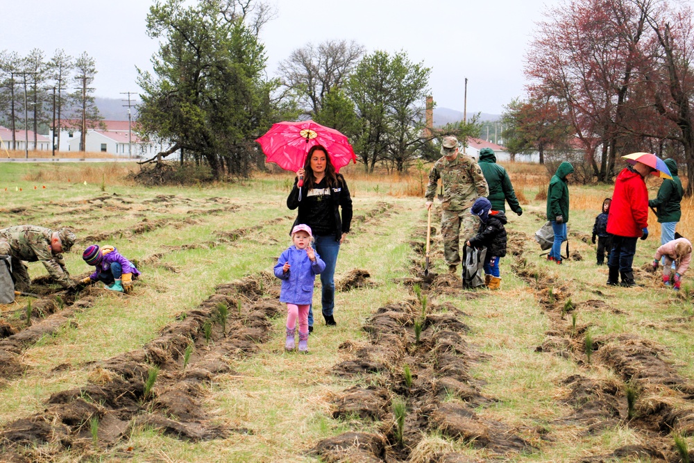 Fort McCoy continues annual tree replenishment efforts; earns 36th Tree City USA award in process