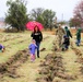 Fort McCoy continues annual tree replenishment efforts; earns 36th Tree City USA award in process