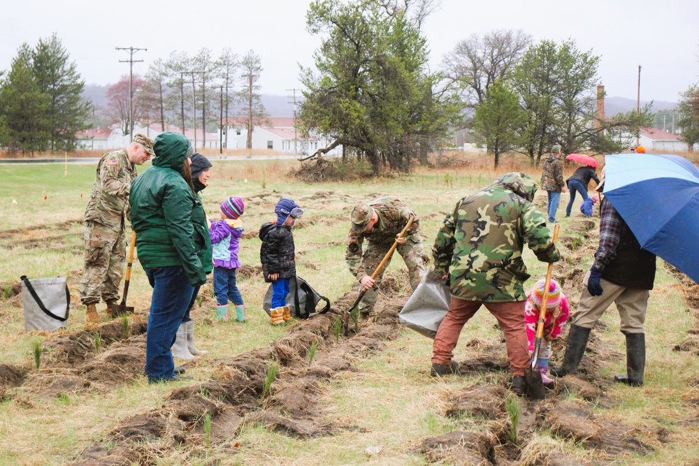 Fort McCoy continues annual tree replenishment efforts; earns 36th Tree City USA award in process