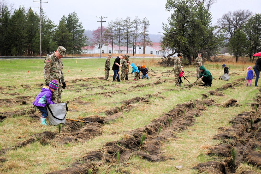 Fort McCoy continues annual tree replenishment efforts; earns 36th Tree City USA award in process