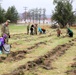 Fort McCoy continues annual tree replenishment efforts; earns 36th Tree City USA award in process