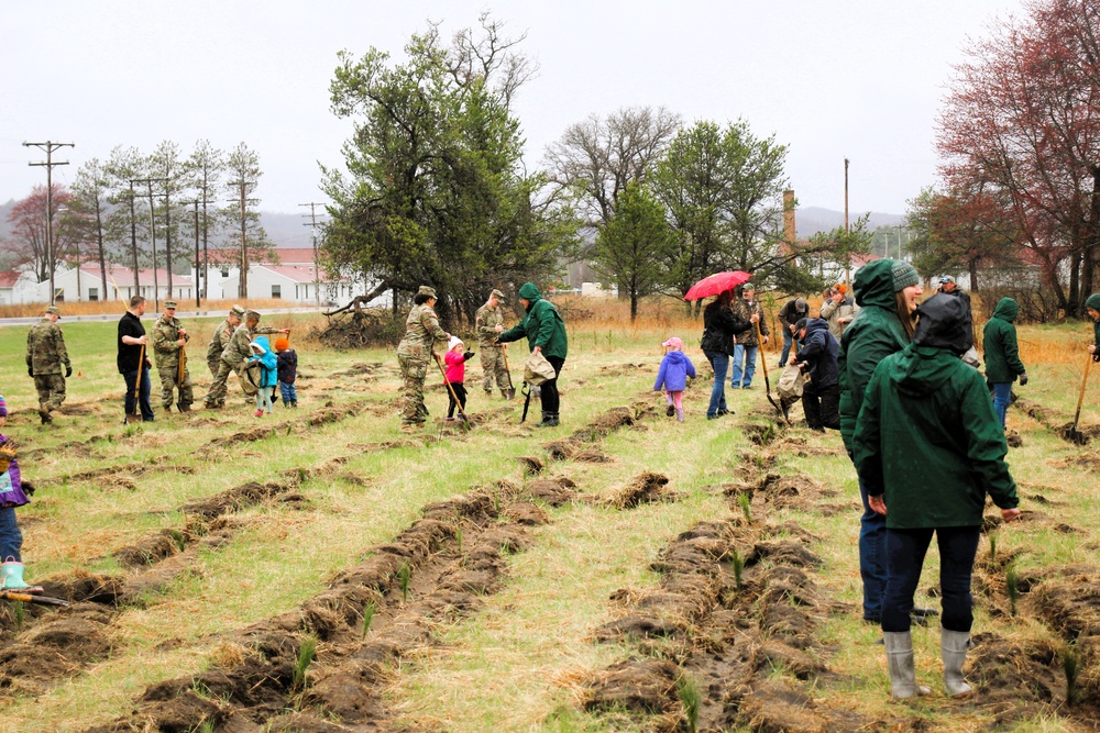 Fort McCoy continues annual tree replenishment efforts; earns 36th Tree City USA award in process