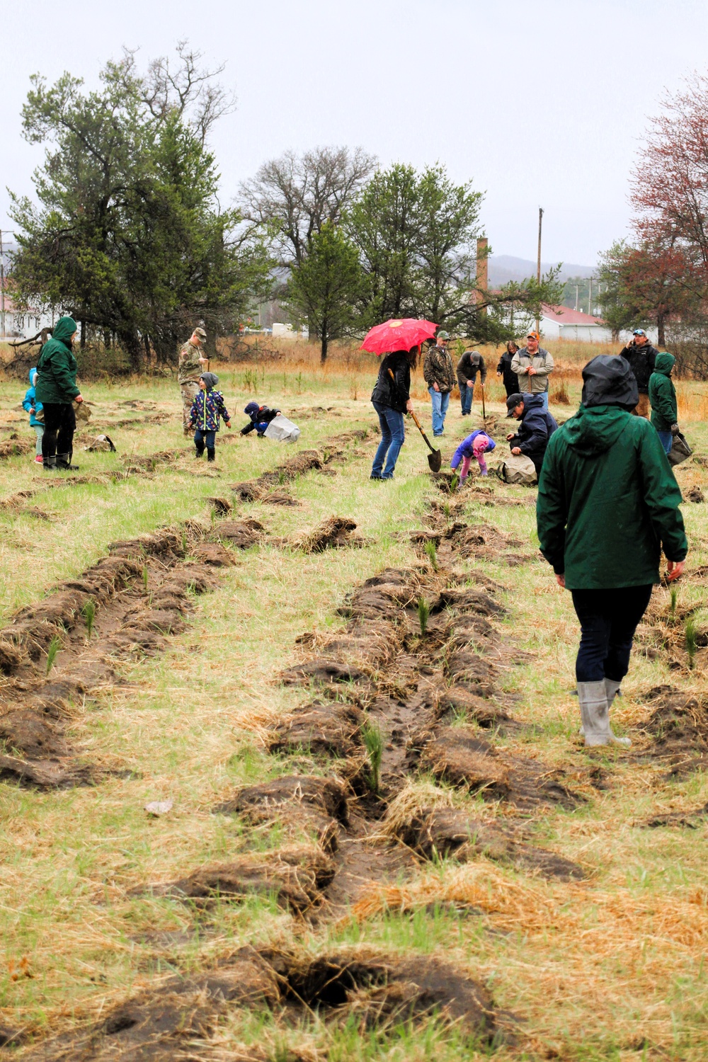 Fort McCoy continues annual tree replenishment efforts; earns 36th Tree City USA award in process
