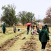Fort McCoy continues annual tree replenishment efforts; earns 36th Tree City USA award in process