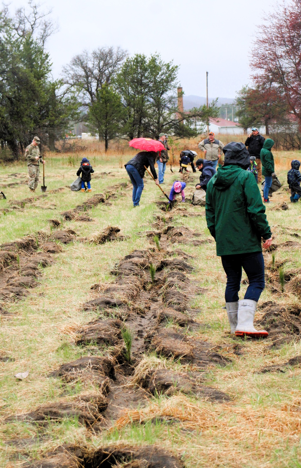 Fort McCoy continues annual tree replenishment efforts; earns 36th Tree City USA award in process
