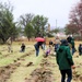 Fort McCoy continues annual tree replenishment efforts; earns 36th Tree City USA award in process