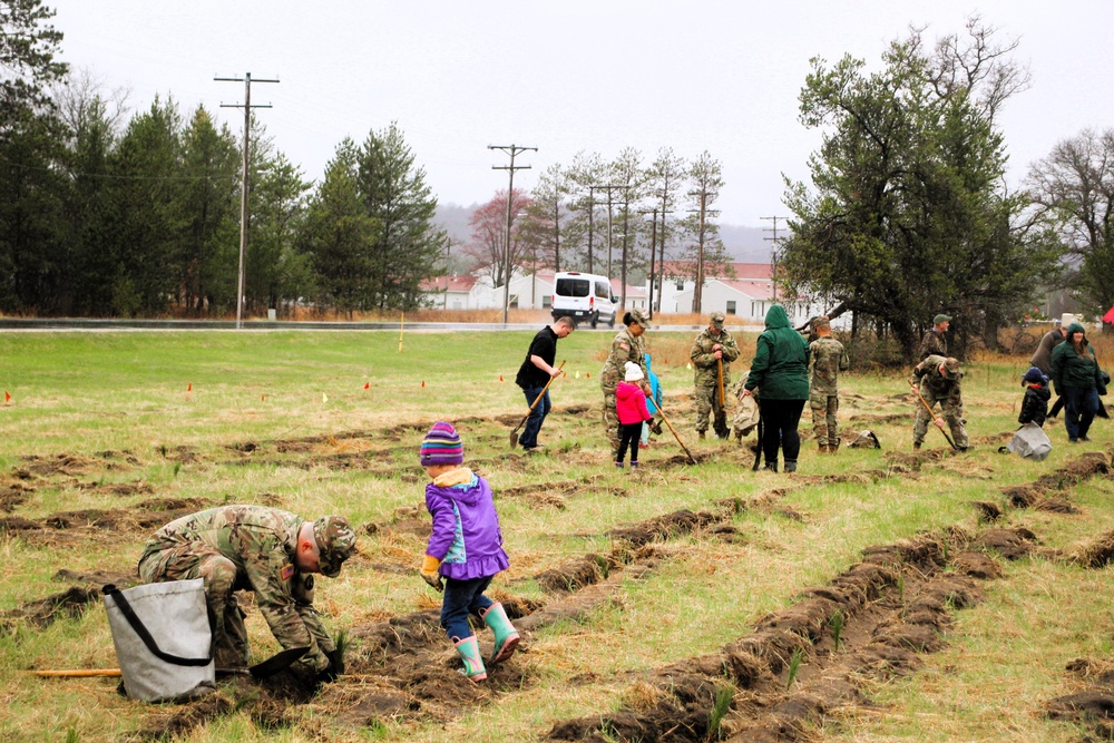 Fort McCoy continues annual tree replenishment efforts; earns 36th Tree City USA award in process