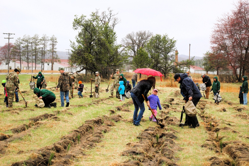 Fort McCoy continues annual tree replenishment efforts; earns 36th Tree City USA award in process