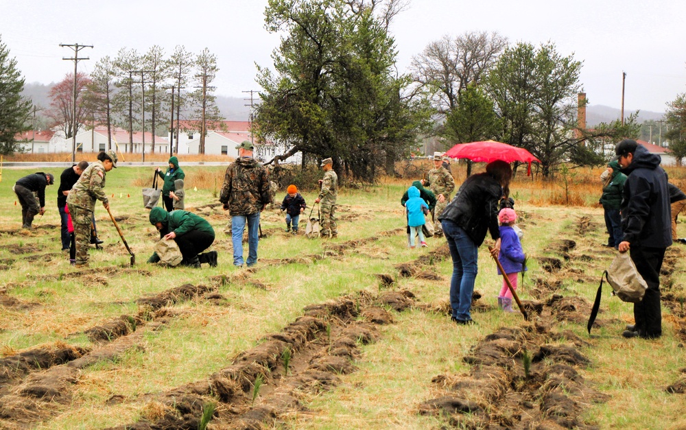 Fort McCoy continues annual tree replenishment efforts; earns 36th Tree City USA award in process