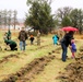 Fort McCoy continues annual tree replenishment efforts; earns 36th Tree City USA award in process