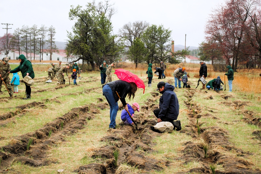Fort McCoy continues annual tree replenishment efforts; earns 36th Tree City USA award in process