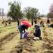 Fort McCoy continues annual tree replenishment efforts; earns 36th Tree City USA award in process