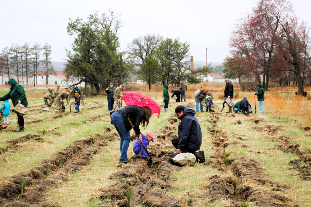 Fort McCoy continues annual tree replenishment efforts; earns 36th Tree City USA award in process