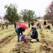 Fort McCoy continues annual tree replenishment efforts; earns 36th Tree City USA award in process