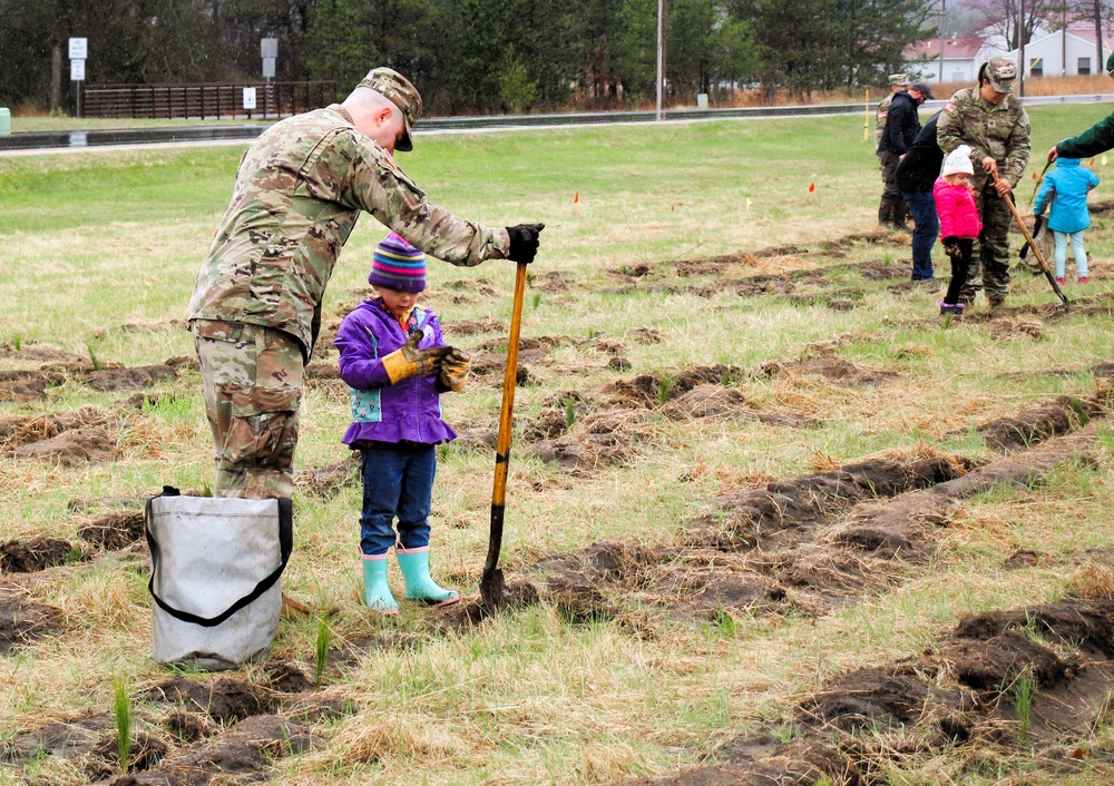 Fort McCoy continues annual tree replenishment efforts; earns 36th Tree City USA award in process
