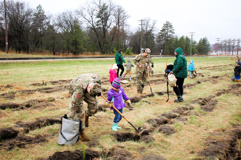 Fort McCoy continues annual tree replenishment efforts; earns 36th Tree City USA award in process