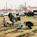 Fort McCoy continues annual tree replenishment efforts; earns 36th Tree City USA award in process