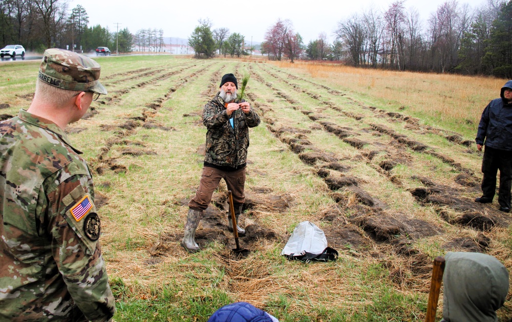 Fort McCoy continues annual tree replenishment efforts; earns 36th Tree City USA award in process