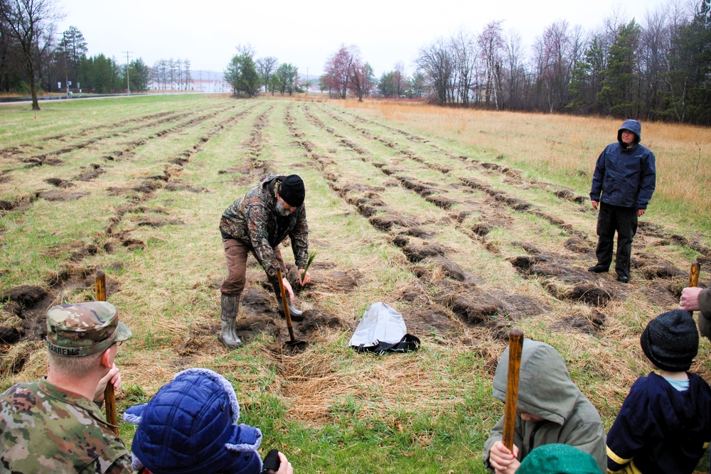 Fort McCoy continues annual tree replenishment efforts; earns 36th Tree City USA award in process