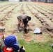 Fort McCoy continues annual tree replenishment efforts; earns 36th Tree City USA award in process