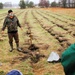 Fort McCoy continues annual tree replenishment efforts; earns 36th Tree City USA award in process