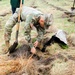Fort McCoy continues annual tree replenishment efforts; earns 36th Tree City USA award in process
