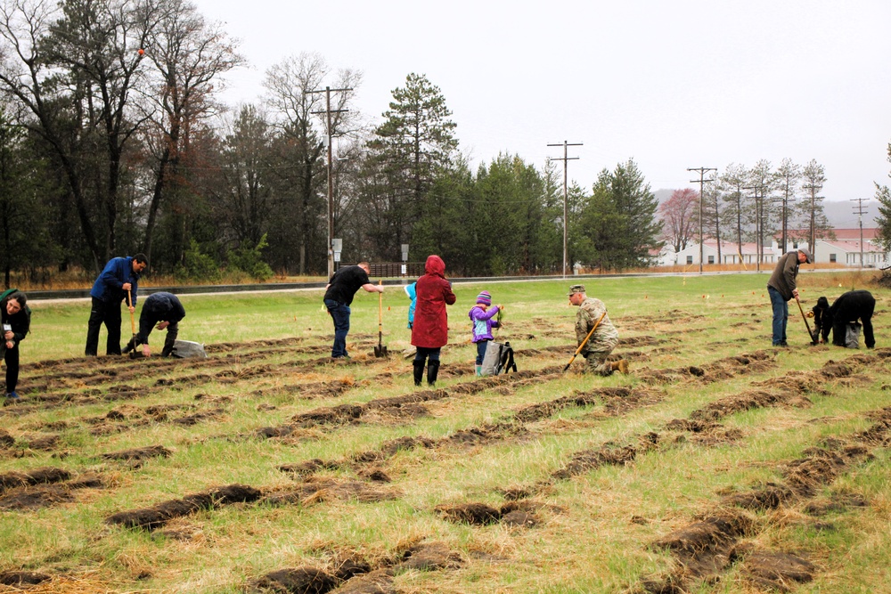 Fort McCoy continues annual tree replenishment efforts; earns 36th Tree City USA award in process