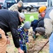 Fort McCoy continues annual tree replenishment efforts; earns 36th Tree City USA award in process