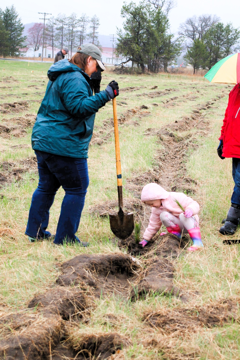 Fort McCoy continues annual tree replenishment efforts; earns 36th Tree City USA award in process