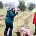 Fort McCoy continues annual tree replenishment efforts; earns 36th Tree City USA award in process