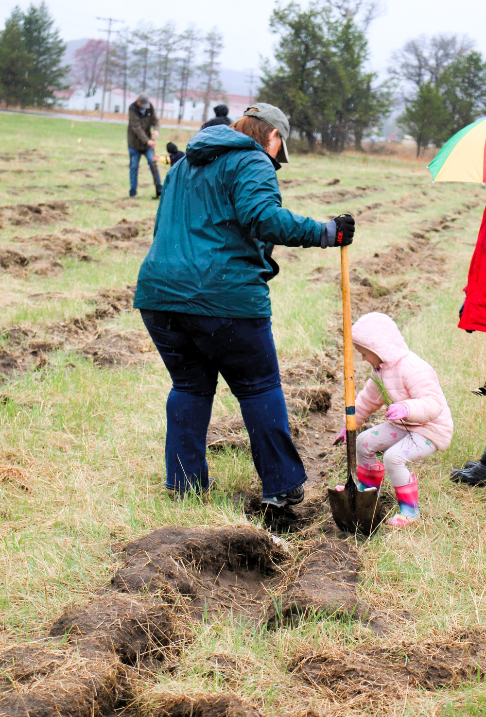 Fort McCoy continues annual tree replenishment efforts; earns 36th Tree City USA award in process