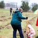 Fort McCoy continues annual tree replenishment efforts; earns 36th Tree City USA award in process