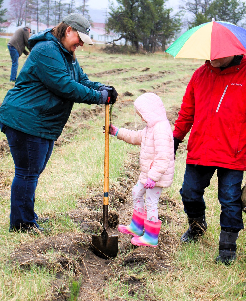 Fort McCoy continues annual tree replenishment efforts; earns 36th Tree City USA award in process