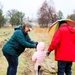 Fort McCoy continues annual tree replenishment efforts; earns 36th Tree City USA award in process